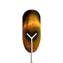 IMAN CORAZON BOMPASSY