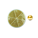 CAVIAR 