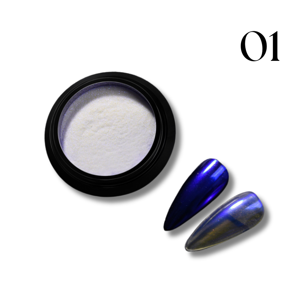 POLVO CAMALEON PARIS NIGHT