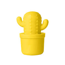 BALSAMO LABIAL CACTUS