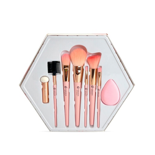 [BH006099] SET DE BROCHAS CHERIMOYA X8